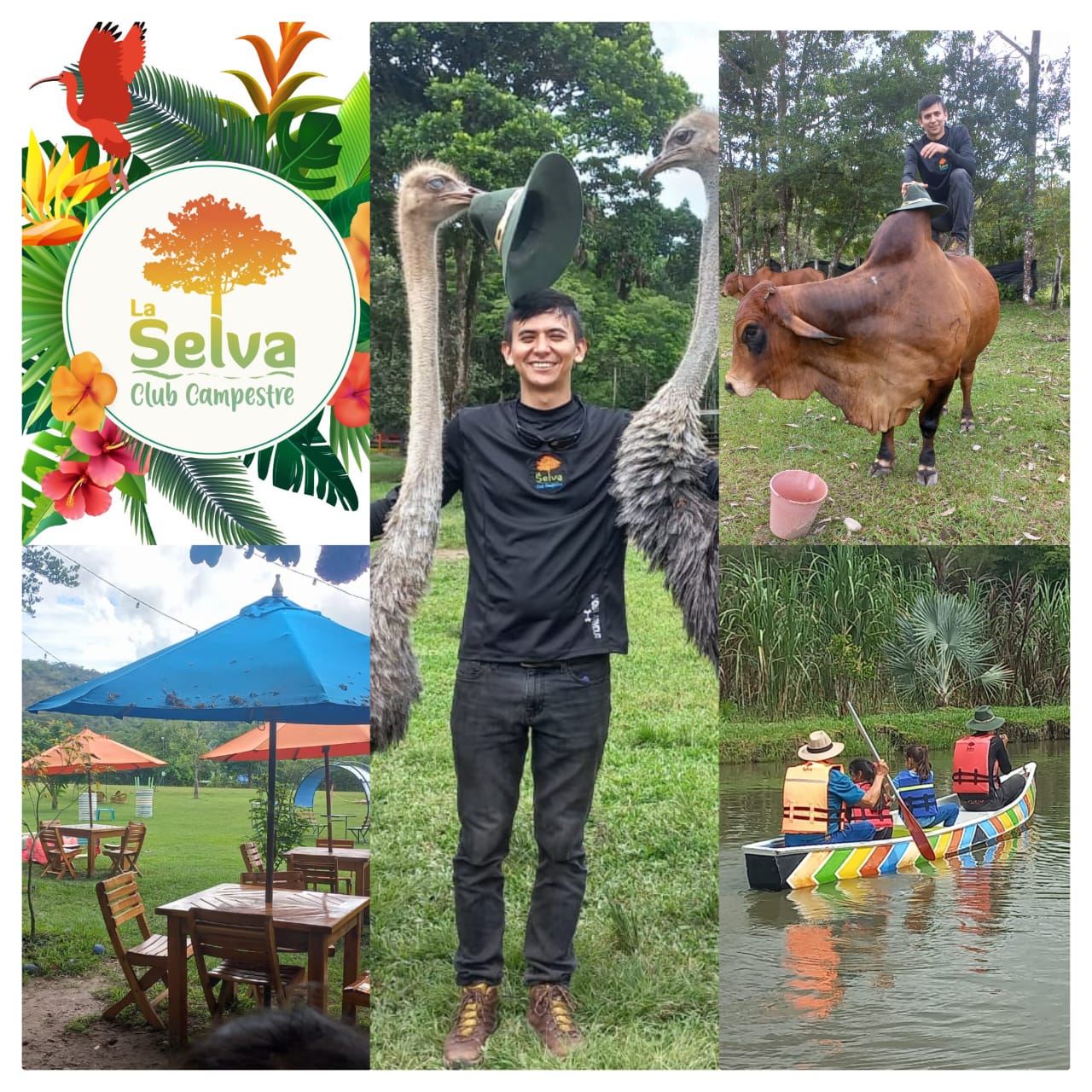 La Selva Club Campestre, un Verdadero Encanto ubicado en Tauramena –  Noticias en Línea